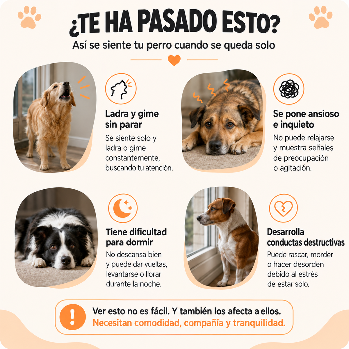 Peluche Calmante Para Perros